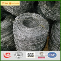 qiangguan Low price galvanized iron barbed wire price per roll 100 meter